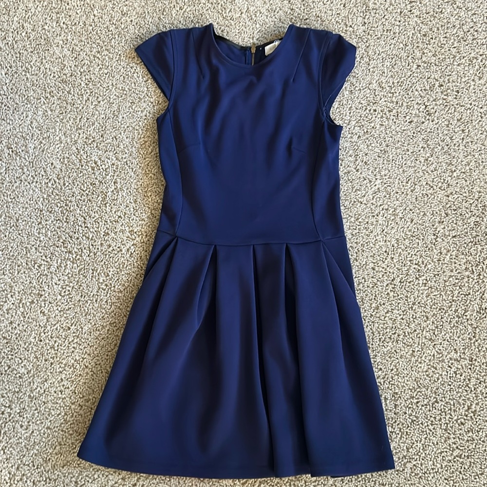 Classic Blue dress